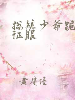 总统少爷跪地唱征服