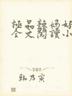 极品辣妈好v5全文阅读小说