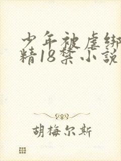 少年被虐绑着榨精18禁小说