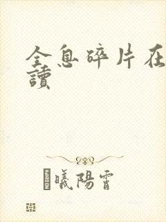 全息碎片在线阅读