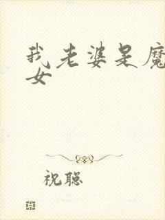 我老婆是魔法少女