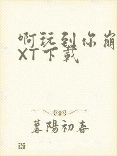 啊玩到你崩溃TXT下载