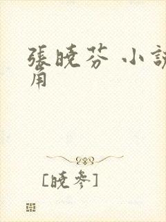 张晓芬 小说主角