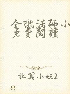 全职法师小说 免费阅读