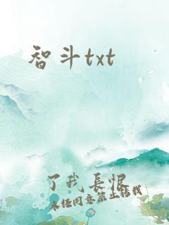智斗txt