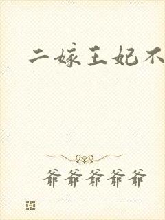 二嫁王妃不好惹