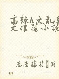 高辣h文乱乳h文浪荡小说