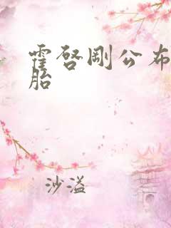 霍启刚公布龙凤胎