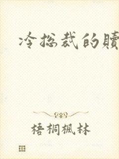 冷总裁的赎罪妻