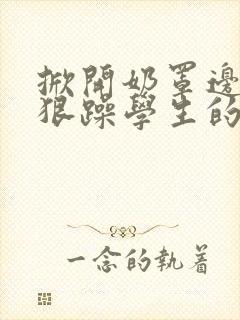 掀开奶罩边躁狠狠躁学生的小文字