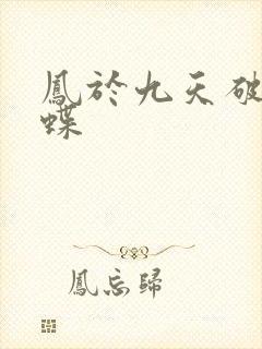 凤于九天破茧成蝶