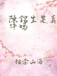 陈铭生是真实事件吗