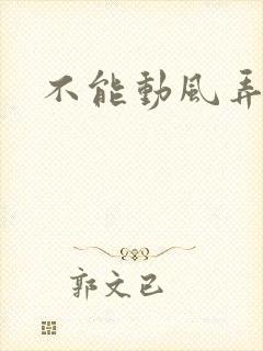 不能动风弄