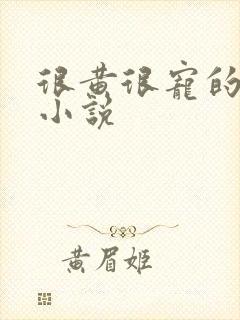 很黄很宠的总裁小说