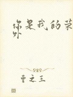 你是我的荣耀番外