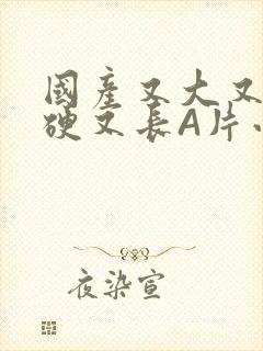 国产又大又粗又硬又长A片小说