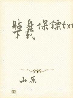 贴身保镖txt下载