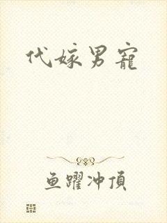 代嫁男宠