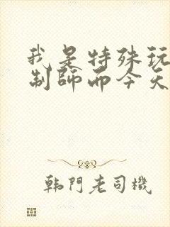 我是特殊玩具定制师而今天的客户