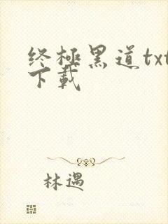 终极黑道txt下载