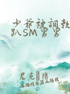 少爷被调教室跪趴SM男男