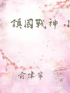 镇国战神 小说
