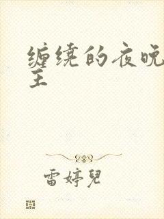 缠绕的夜晚双男主