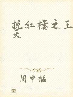 挽红楼之玉舞九天