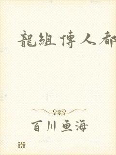 龙组传人都市行