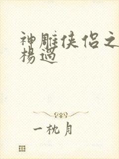 神雕侠侣之我是杨过