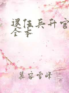 退伍兵升官记 全本