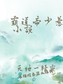 霸道帝少惹不得 小说