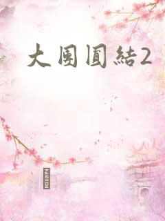 大团圆结2