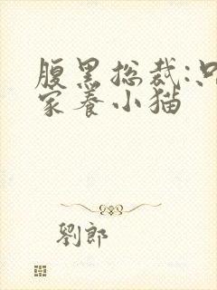 腹黑总裁:只疼家养小猫