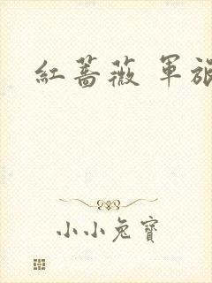 红蔷薇 军旅文