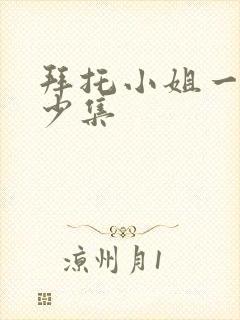 拜托小姐一共多少集