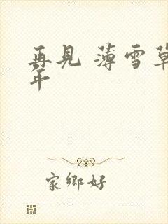 再见 薄雪草少年