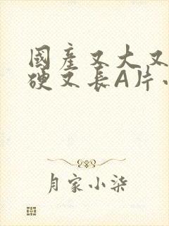 国产又大又粗又硬又长A片小说