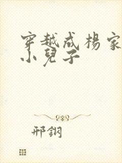 穿越成杨家将最小儿子