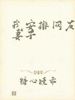 我安排网友开发妻子