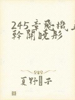 245章飞机上干关晓彤