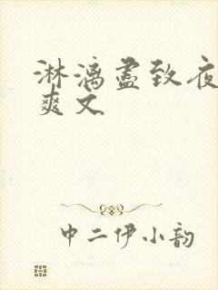 淋漓尽致夜晚小爽文