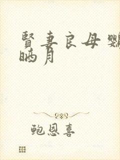 贤妻良母 鹦鹉晒月