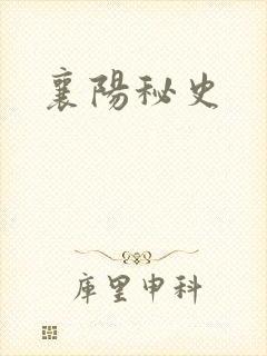 襄阳秘史