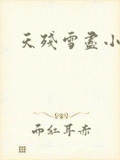 天残雪尽小说