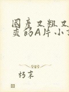 国产又粗又黄又爽的A片小说