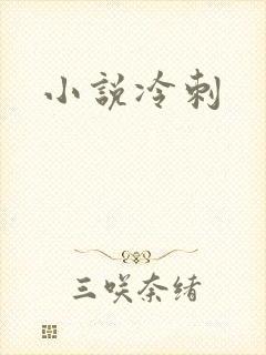 小说冷刺