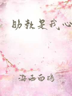 助教是我心尖宠