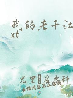 我的老千江湖txt