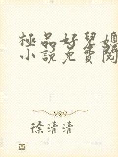 极品好儿媳苏灿小说免费阅读